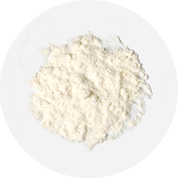 オニオンパウダー